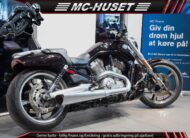 Harley-Davidson VRSCF V-Rod Muscle